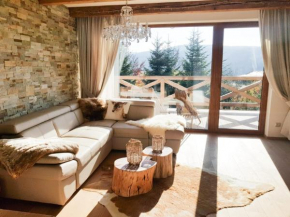 Chalet Rebeca 12 beds Donovaly Donovaly